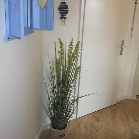 Tine Mit Balkon, Fahrraedern Und Strandkorb Im Sommer Διαμέρισμα Zempin