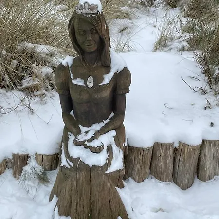 Tine Mit Balkon, Fahrraedern Und Strandkorb Im Sommer Appartamento Zempin