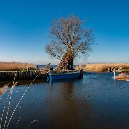 Tine Mit Balkon, Fahrraedern Und Strandkorb Im Sommer *