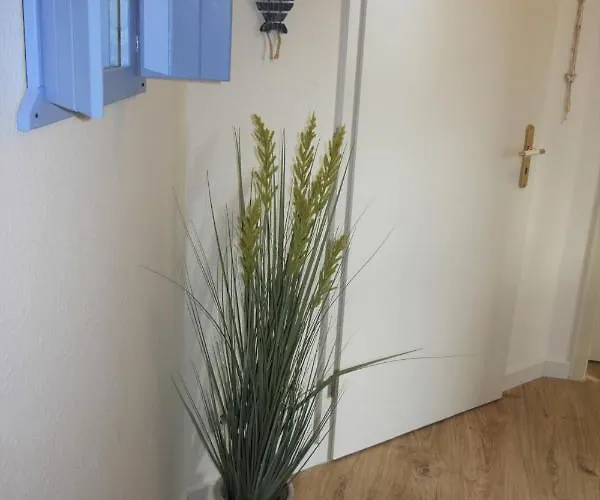Tine Mit Balkon, Fahrraedern Und Strandkorb Im Sommer Apartment Zempin