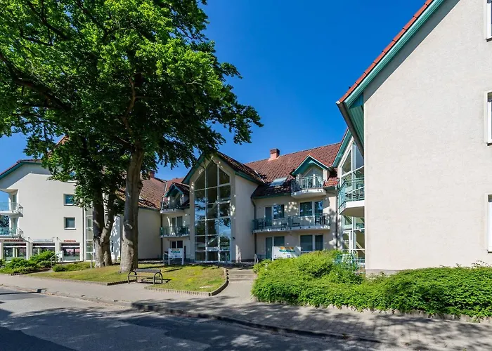 Tine Apartment